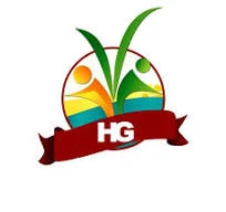 Hadi Group